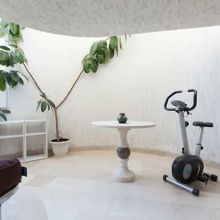 Noa * מאקרסקה